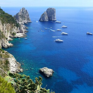 CAPRI